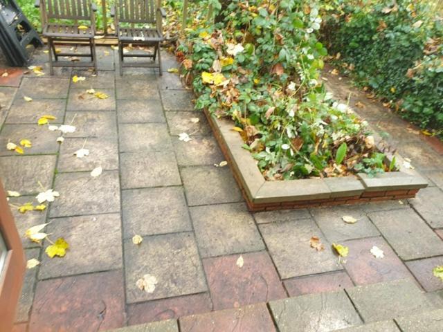 2 Bed Garden Flat West Dulwich Free Street Parking Lejlighed London Eksteriør billede